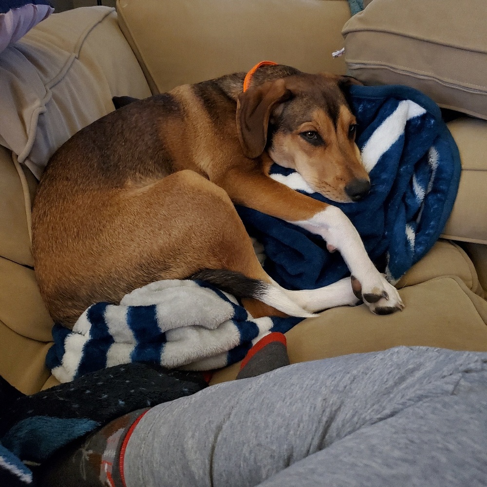 Meet your Posher, Patty